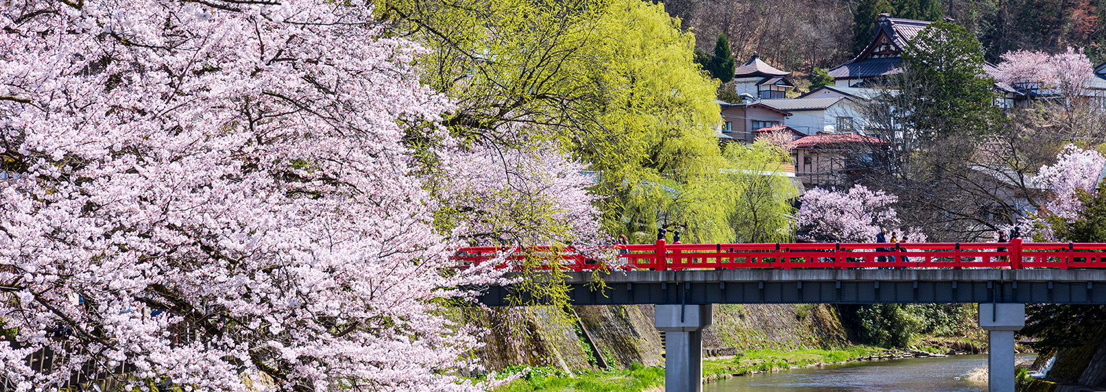 ���R�s�s���Y �C�[�G�X�e�[�g�́A���݁E���n�E�����n�E�Z��E�A�p�[�g�E��ˌ��ĂȂǂ̕s���Y�������Ă��܂��B