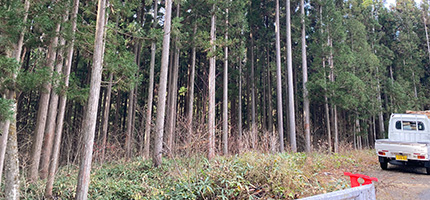 �C�[�G�X�e�[�g�b���R�s�y�n